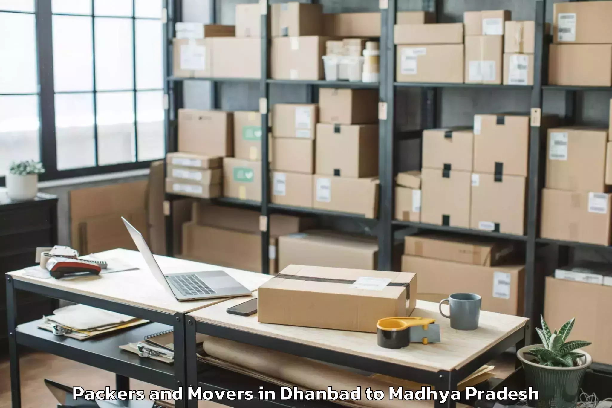 Book Dhanbad to Mandsaur University Mandsaur Packers And Movers